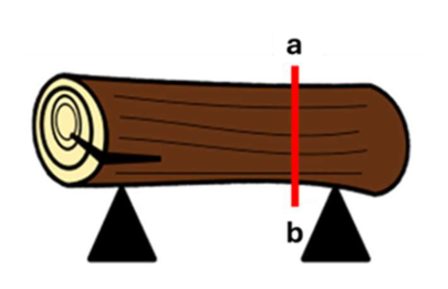 Tronco tumbado apoyado en dos soportes triangulares, uno en cada extremo, con una línea roja vertical de corte marcada «a» arriba y «b» abajo junto al apoyo derecho.
