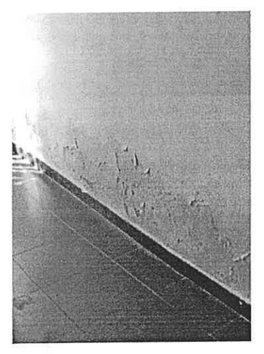 Fotografía en blanco y negro de la pared de la fachada norte del local, vista en escorzo, con manchas y desconchados en la parte inferior del paramento junto al suelo.